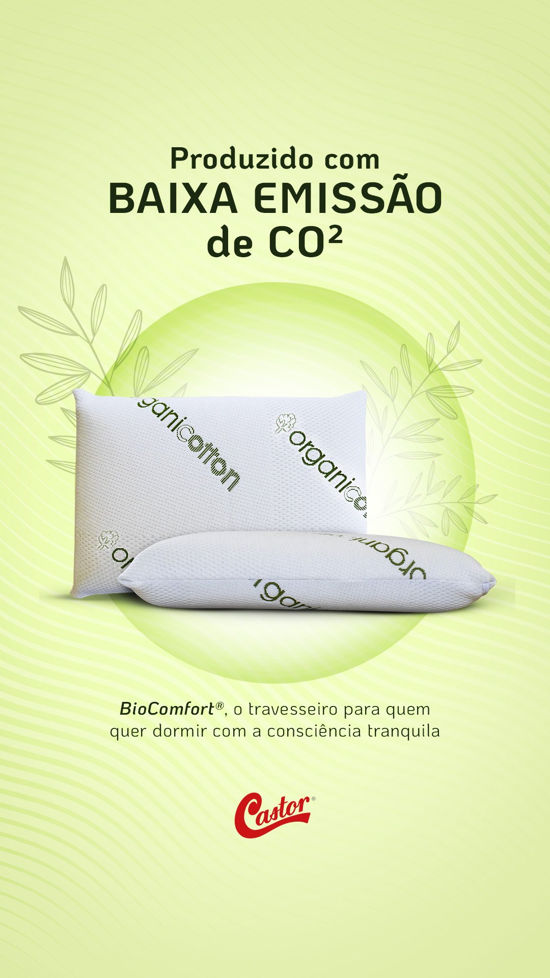 biocomfort